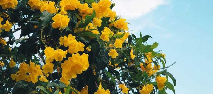 Breaking Free from Conventional Wisdom